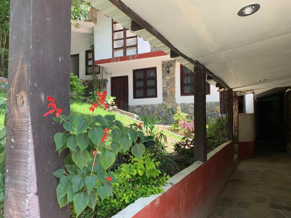 Finca Quinta Los Cedros Xilitla Eksteriør billede
