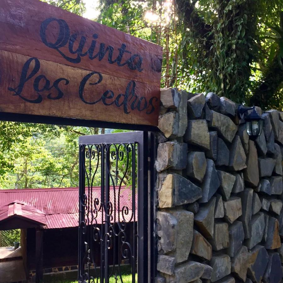 Finca Quinta Los Cedros Xilitla Eksteriør billede